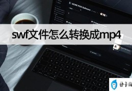 swf文件怎么转换成mp4(swf转换mp4最简单方法)