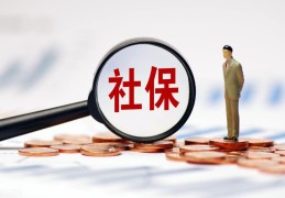 辞职后,个人如何缴纳社保(从公司离职后社保怎么继续交)