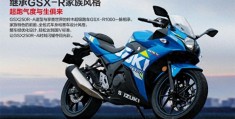  铃木GSX250R值不值得入手(gsx250r我都买后悔了)