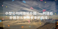 小型公司网络拓扑图(visio网络拓扑图怎么删除多余的直线)