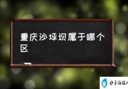 重庆沙坪坝属于哪个区(沙坪坝在重庆属于什么地位？)