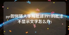 ppt如何插入手写批注(PPT的批注不显示文字怎么办)