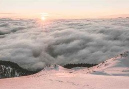 奈雪的茶小小瓶金桂榴香多少钱(奈雪小小瓶金桂榴香好喝吗)