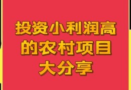 适合乡镇的创业项目有哪些(适合乡镇的创业项目)