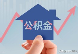 个人住房公积金在哪里查(公积金在哪里查询)