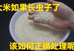 家里有米虫到处爬怎么根除?(家里大米长虫子的处理办法)