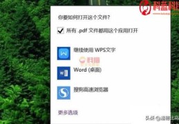 怎么把图片形式的pdf文件转换成Word？(pdf图片转换word)