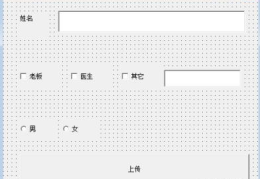 如何使用VB语言制作一个简单的调查表