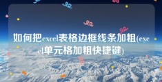 如何把excel表格边框线条加粗(excel单元格加粗快捷键)