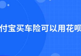 支付宝买车险可以用花呗吗