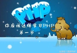 你应该这个姿势学习PHP（1）