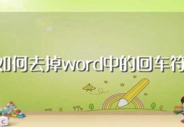 如何去掉word中的回车符(word中的回车符如何去掉)