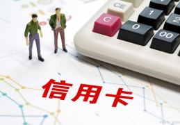 怎样查自己的征信有没有问题(怎样查信用卡被拒原因)