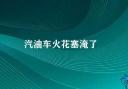 汽油车火花塞淹了(如何避免汽油车火花塞淹水)