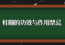 桂圆的功效与作用禁忌(桂圆有什么功效与作用禁忌)