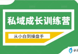 电商私域从小白到操盘手成长训练营(价值999元的超值课程)