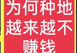 种地不挣钱,农民为什么还要种(为什么种地不挣钱)