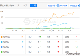 整站优化SEO项目，整个架构附子老师亲自设计！