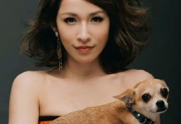 萧亚轩爱犬GEMI去世(萧亚轩爱犬Gemi去世)