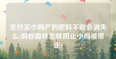 支付宝小鸡产的肥料不收会消失么(蚂蚁森林怎样防止小鸡被带走)