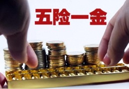 什么是五险一金(五险一金指的是哪些)