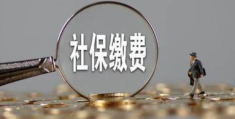 离职后个人社保怎么缴纳(补缴社保需要什么材料)