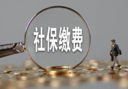 离职后个人社保怎么缴纳(补缴社保需要什么材料)