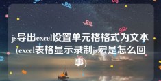 js导出excel设置单元格格式为文本(excel表格显示录制js宏是怎么回事)