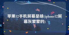 苹果12手机屏幕是啥(iphone12屏幕灰蒙蒙的)