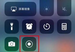 苹果手机自带的录屏功能使用(iphone录屏能录声音吗)