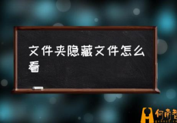 如何打开隐藏文件和系统？(文件夹隐藏文件怎么看)