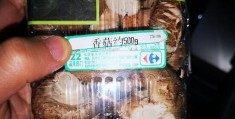 香菇成熟度检验（香菇标注约500g实重242g）