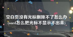 空白页没有光标删除不了怎么办(word怎么把光标不显示不出来)