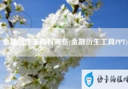 金融衍生工具有哪些(金融衍生工具PPT)