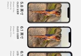 iphone尺寸对比(iphonex多长)