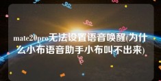 mate20pro无法设置语音唤醒(为什么小布语音助手小布叫不出来)