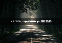 e2160cpu参数配置(e2160cpu)