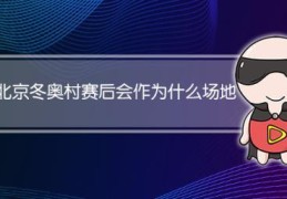 冬奥会场馆建设总包单位(北京冬奥会新建场馆符合审美标准)