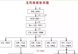 王姓的来源和历史介绍(王氏家谱渊源大全)