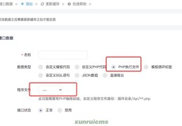 迅睿CMS 自定义数据接口-php执行文件代码