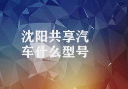 沈阳共享汽车什么型号(沈阳共享汽车品牌介绍)