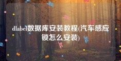 dlabel数据库安装教程(汽车感应锁怎么安装)