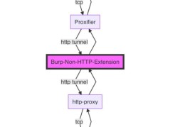 如何利用http tunnel使用burpsuite拦截某个app的tcp数据包