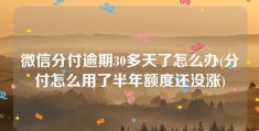 微信分付逾期30多天了怎么办(分付怎么用了半年额度还没涨)