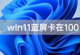 Win11系统开机蓝屏卡在100%的解决方法