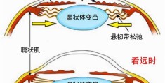 商贷转公必须先还清吗(商贷转公积金贷款条件)