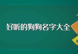 好听的狗狗名字大全(好听的狗狗名字有哪些)