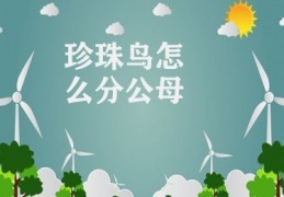 珍珠鸟怎么分公母(珍珠鸟鉴别方法)