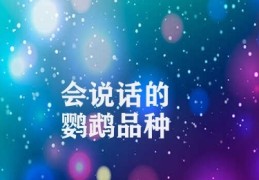 会说话的鹦鹉品种(学习说话的鹦鹉)