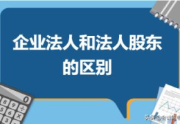 公司股东与法人的关系(法人股东和企业法人的区别)